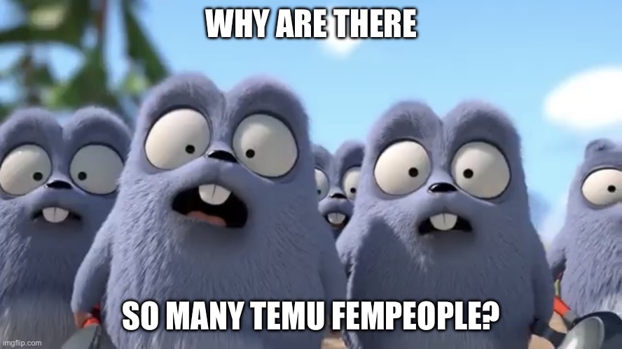 Please use Amazon for a change, guys (also “fempeople” may or may not be in the dictionary) | WHY ARE THERE; SO MANY TEMU FEMPEOPLE? | image tagged in lemmings meme,temu,everywhere,shopping | made w/ Imgflip meme maker