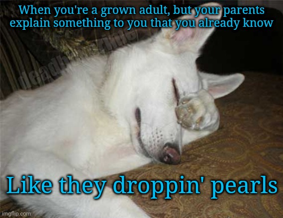 Ya don't say | When you're a grown adult, but your parents explain something to you that you already know; deadboxprime; Like they droppin' pearls | image tagged in really | made w/ Imgflip meme maker