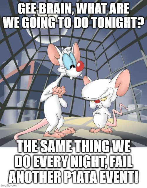 Pinky and the brain | GEE BRAIN, WHAT ARE WE GOING TO DO TONIGHT? THE SAME THING WE DO EVERY NIGHT, FAIL ANOTHER P1ATA EVENT! | image tagged in pinky and the brain | made w/ Imgflip meme maker