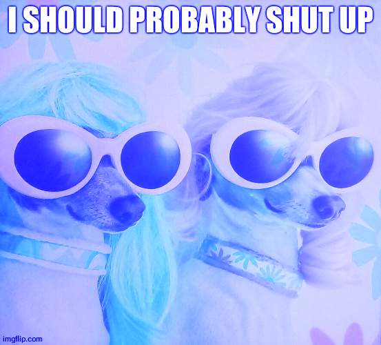 Groovy dawgs | I SHOULD PROBABLY SHUT UP | image tagged in groovy dawgs | made w/ Imgflip meme maker