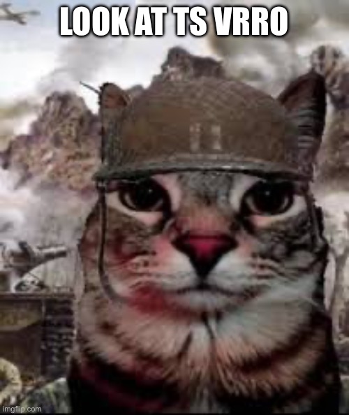 https://imgflip.com/i/9y51lg | LOOK AT TS VRO | image tagged in 1000 yard stare cat,sans of topic | made w/ Imgflip meme maker