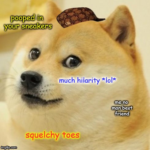 scumbag doge | pooped in your sneakers much hilarity *lol* squelchy toes me no man best friend | image tagged in memes,doge,scumbag | made w/ Imgflip meme maker