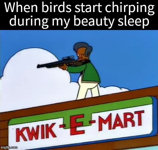 I have horrible ideas when I'm cranky | When birds start chirping during my beauty sleep | image tagged in memes,funny,the simpsons,cartoon,sleep | made w/ Imgflip meme maker