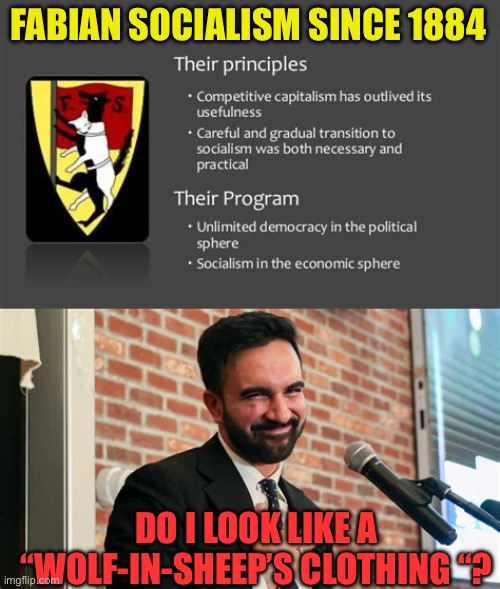 Actual logo is a Wolf in sheep’s clothing | FABIAN SOCIALISM SINCE 1884; DO I LOOK LIKE A “WOLF-IN-SHEEP’S CLOTHING “? | image tagged in fabian socialism,nyc,socialism,democratic socialism,danger,democrats | made w/ Imgflip meme maker