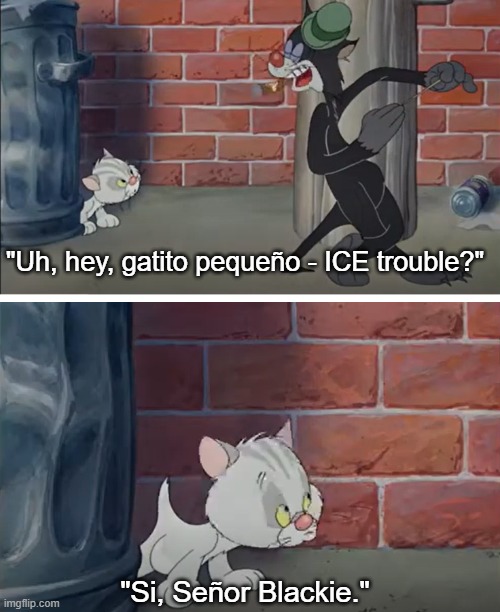 Bad Luck Blackie ICE | "Uh, hey, gatito pequeño - ICE trouble?"; "Si, Señor Blackie." | image tagged in bad luck blackie,kitten,ice,i hate maga | made w/ Imgflip meme maker