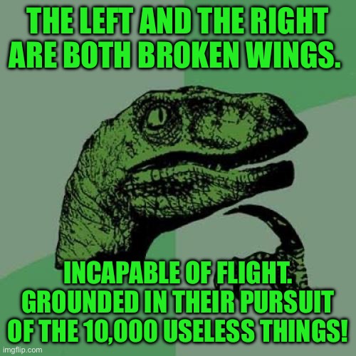 Philosoraptor | THE LEFT AND THE RIGHT ARE BOTH BROKEN WINGS. INCAPABLE OF FLIGHT. GROUNDED IN THEIR PURSUIT OF THE 10,000 USELESS THINGS! | image tagged in memes,philosoraptor | made w/ Imgflip meme maker