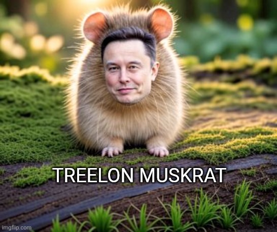 ❤️‍?? | TREELON MUSKRAT | image tagged in elon musk | made w/ Imgflip meme maker