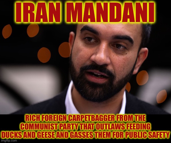 The Goose Nazi | IRAN MANDANI; RICH FOREIGN CARPETBAGGER FROM THE COMMUNIST PARTY THAT OUTLAWS FEEDING DUCKS AND GEESE AND GASSES THEM FOR PUBLIC SAFETY | image tagged in zohran mamdani,communist,liberal logic,liberal hypocrisy,animal rights,save the earth | made w/ Imgflip meme maker