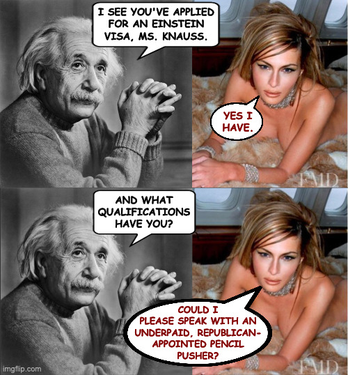 Immigration for special cases was less official in 2001, but otherwise much the same. | I SEE YOU'VE APPLIED
FOR AN EINSTEIN
VISA, MS. KNAUSS. YES I
HAVE. AND WHAT
QUALIFICATIONS
HAVE YOU? COULD I
PLEASE SPEAK WITH AN
UNDERPAID, REPUBLICAN-
APPOINTED PENCIL
PUSHER? | image tagged in einstein,melania trump,memes | made w/ Imgflip meme maker