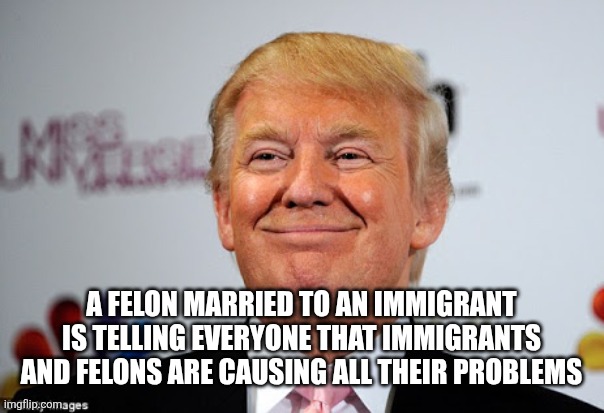 Donald trump approves | A FELON MARRIED TO AN IMMIGRANT IS TELLING EVERYONE THAT IMMIGRANTS AND FELONS ARE CAUSING ALL THEIR PROBLEMS | image tagged in donald trump approves | made w/ Imgflip meme maker
