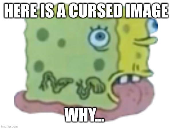•_• | HERE IS A CURSED IMAGE; WHY... | image tagged in cursed spongebob | made w/ Imgflip meme maker
