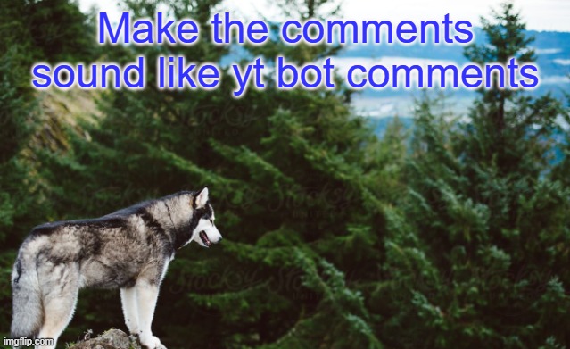 5:34 was truly jaw dropping! | Make the comments sound like yt bot comments | image tagged in husky | made w/ Imgflip meme maker