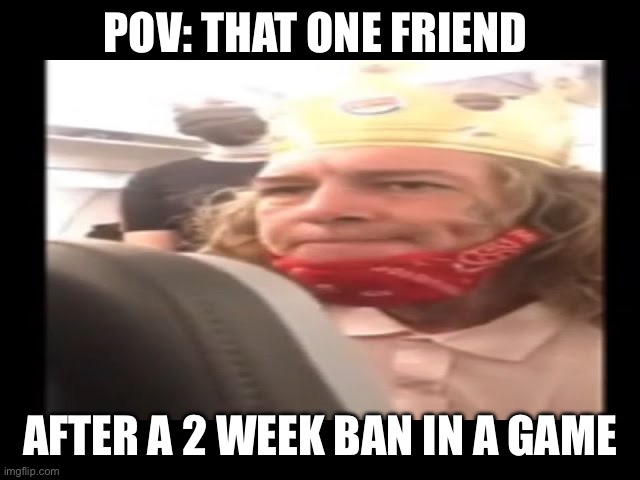 And now he is our king in the group | POV: THAT ONE FRIEND; AFTER A 2 WEEK BAN IN A GAME | image tagged in burger king | made w/ Imgflip meme maker
