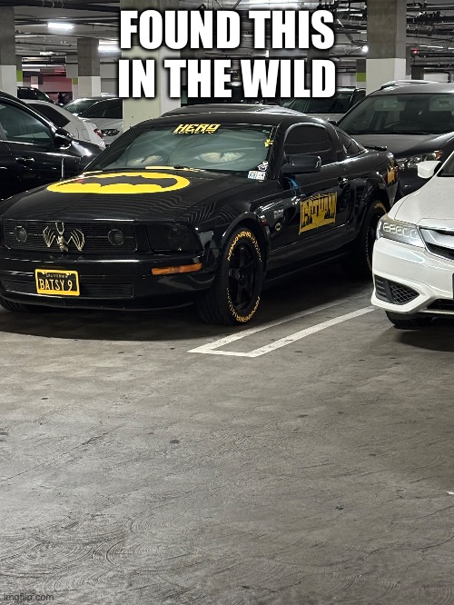 Wish I was this unemployed | FOUND THIS IN THE WILD | made w/ Imgflip meme maker