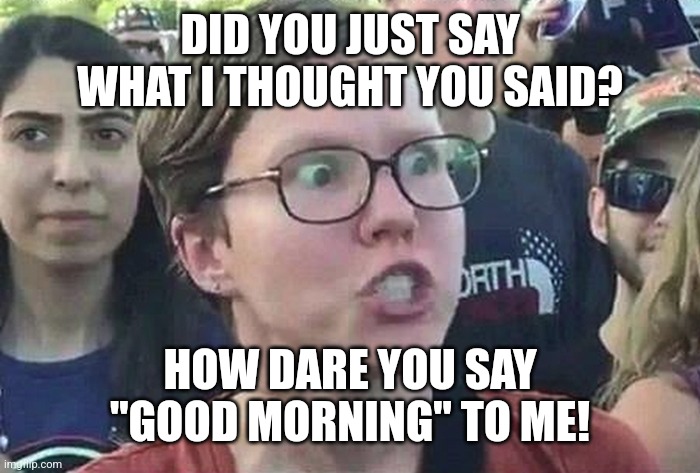 Triggered Liberal | DID YOU JUST SAY WHAT I THOUGHT YOU SAID? HOW DARE YOU SAY "GOOD MORNING" TO ME! | image tagged in triggered liberal,good morning,outrage,liberals | made w/ Imgflip meme maker