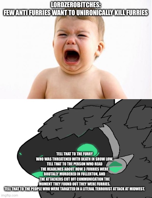 Baby crying  | LORDZEROBITCHES:
FEW ANTI FURRIES WANT TO UNIRONICALLY KILL FURRIES; TELL THAT TO THE FURRY WHO WAS THREATENED WITH DEATH IN SHOW LOW.
TELL THAT TO THE PERSON WHO READ THE HEADLINES ABOUT HOW 3 FURRIES WERE BRUTALLY MURDERED IN FULLERTON, AND THE ATTACKERS CUT OFF COMMUNICATION THE MOMENT THEY FOUND OUT THEY WERE FURRIES.
TELL THAT TO THE PEOPLE WHO WERE TARGETED IN A LITERAL TERRORIST ATTACK AT MIDWEST. | image tagged in baby crying | made w/ Imgflip meme maker
