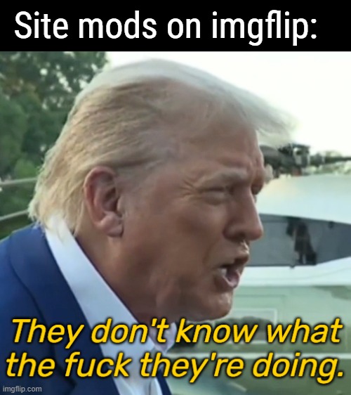 Trump - They don't know what the fuck they're doing. | Site mods on imgflip: | image tagged in trump - they don't know what the fuck they're doing | made w/ Imgflip meme maker