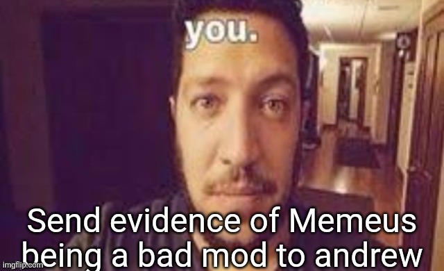 you. | Send evidence of Memeus being a bad mod to andrew | image tagged in you | made w/ Imgflip meme maker