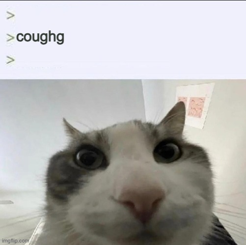 coughg | coughg | image tagged in cat looks inside | made w/ Imgflip meme maker