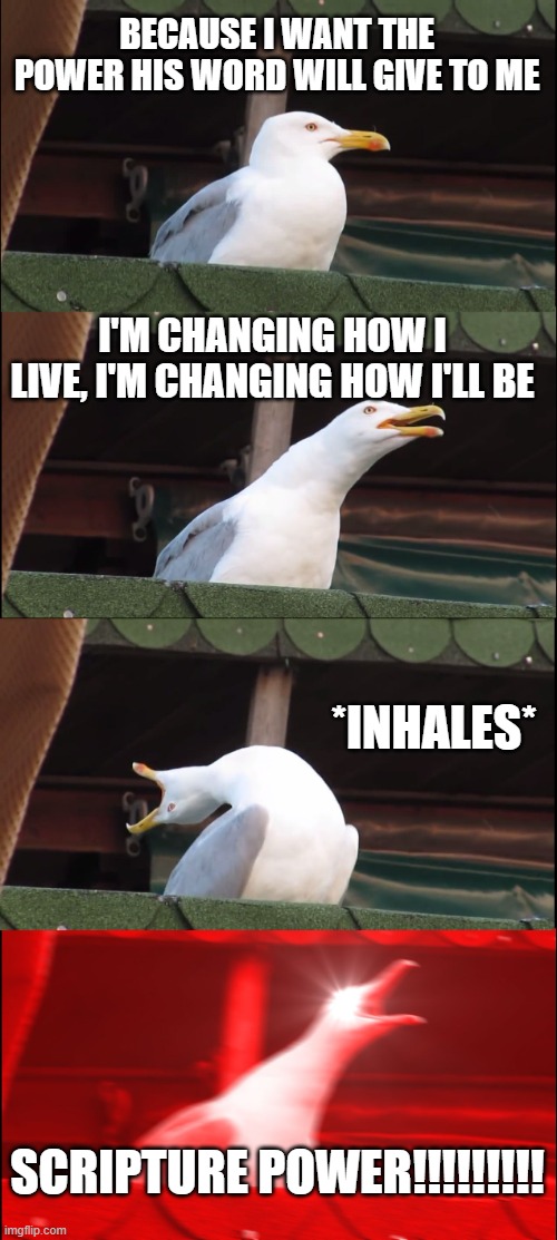 scripture power | BECAUSE I WANT THE POWER HIS WORD WILL GIVE TO ME; I'M CHANGING HOW I LIVE, I'M CHANGING HOW I'LL BE; *INHALES*; SCRIPTURE POWER!!!!!!!!! | image tagged in memes,inhaling seagull | made w/ Imgflip meme maker