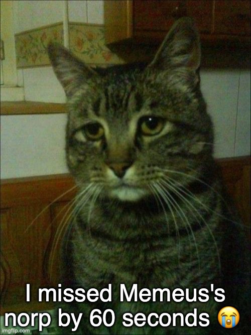 Depressed Cat | I missed Memeus's norp by 60 seconds 😭 | image tagged in memes,depressed cat | made w/ Imgflip meme maker