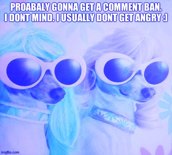 im just gonna chill now | PROABALY GONNA GET A COMMENT BAN. I DONT MIND. I USUALLY DONT GET ANGRY :] | image tagged in groovy dawgs | made w/ Imgflip meme maker