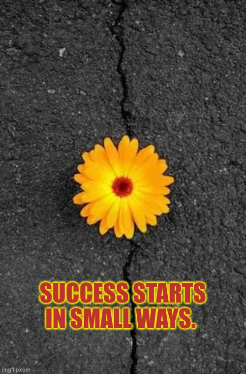 Success can start small | SUCCESS STARTS IN SMALL WAYS. | image tagged in flower in concrete | made w/ Imgflip meme maker