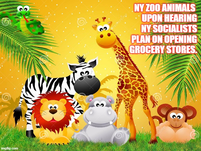 NY ZOO ANIMALS 
UPON HEARING
 NY SOCIALISTS
PLAN ON OPENING
GROCERY STORES. | made w/ Imgflip meme maker