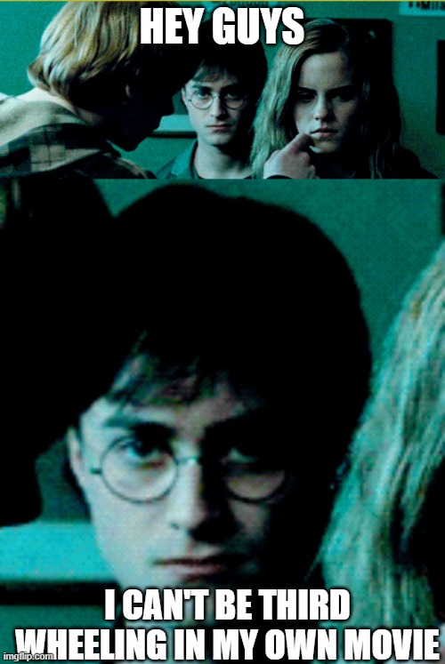 HEY GUYS; I CAN'T BE THIRD WHEELING IN MY OWN MOVIE | image tagged in harry potter | made w/ Imgflip meme maker