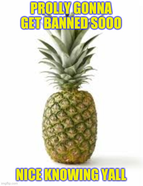 Sethamphetamine announcement temp | PROLLY GONNA GET BANNED SOOO; NICE KNOWING YALL | image tagged in sethamphetamine announcement temp | made w/ Imgflip meme maker