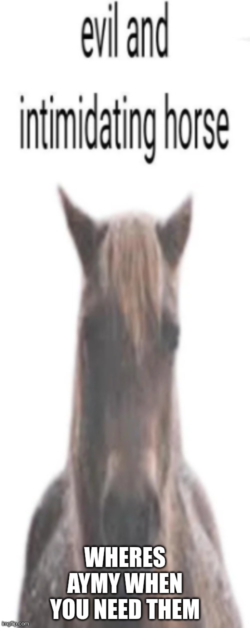 evil and intimidating horse | WHERES AYMY WHEN YOU NEED THEM | image tagged in evil and intimidating horse | made w/ Imgflip meme maker