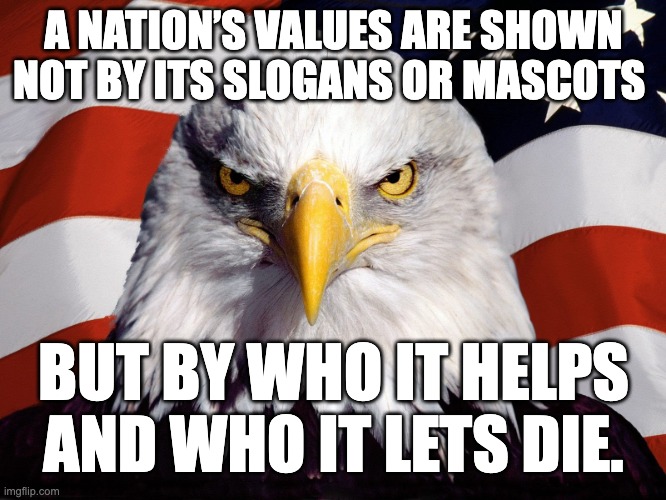 nation's values | A NATION’S VALUES ARE SHOWN NOT BY ITS SLOGANS OR MASCOTS; BUT BY WHO IT HELPS
AND WHO IT LETS DIE. | image tagged in freedom eagle | made w/ Imgflip meme maker