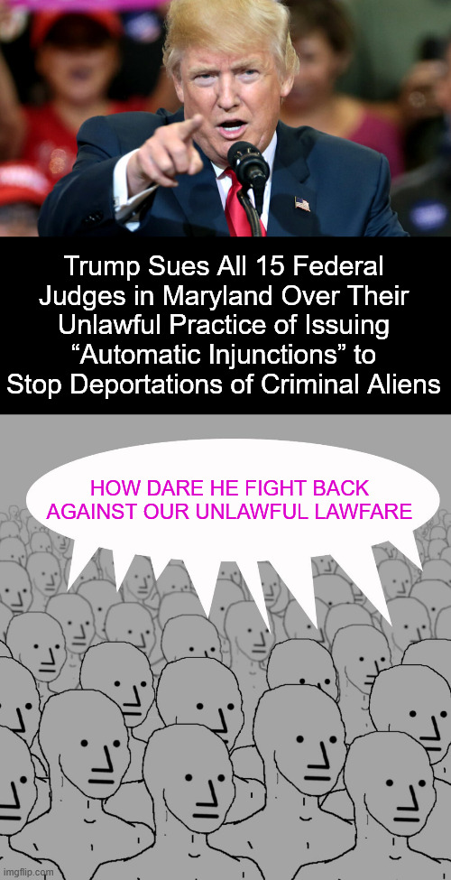 HOW DARE HE FIGHT BACK AGAINST OUR UNLAWFUL LAWFARE Trump Sues All 15 Federal Judges in Maryland Over Their Unlawful Practice of Issuing “Au | image tagged in npc-crowd | made w/ Imgflip meme maker