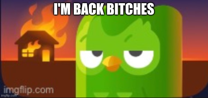 disaster duo | I'M BACK BITCHES | image tagged in disaster duo | made w/ Imgflip meme maker