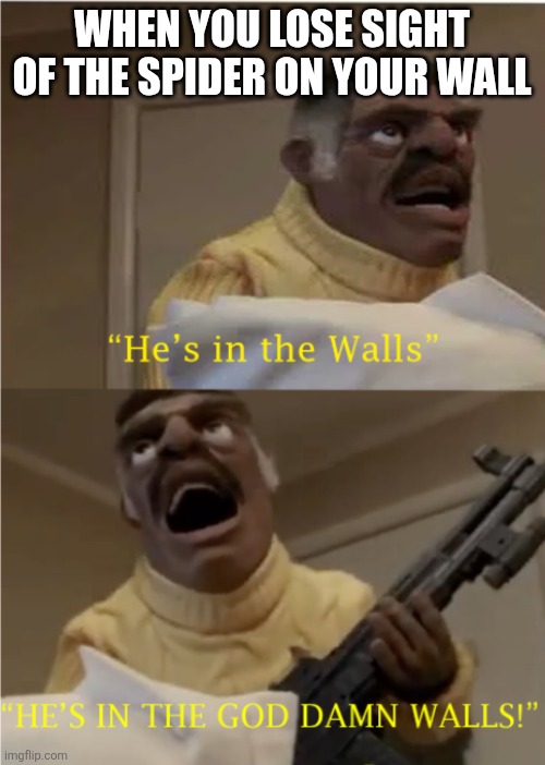 He's in the Walls | WHEN YOU LOSE SIGHT OF THE SPIDER ON YOUR WALL | image tagged in he's in the walls | made w/ Imgflip meme maker
