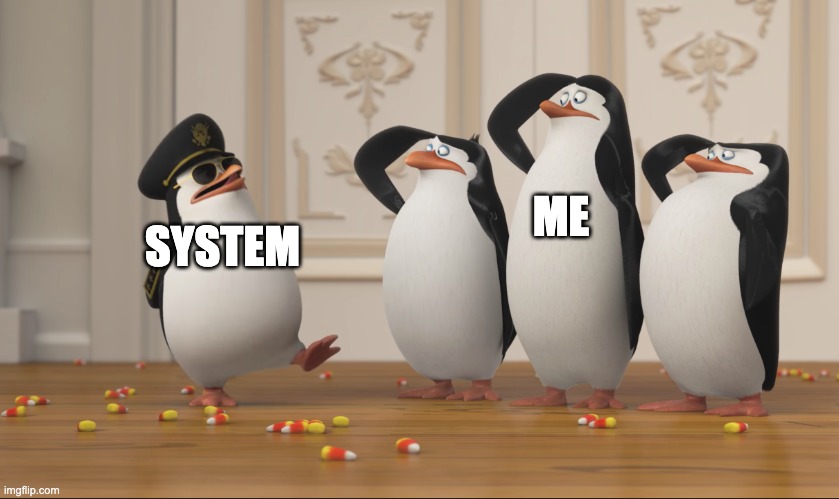 Saluting skipper | SYSTEM ME | image tagged in saluting skipper | made w/ Imgflip meme maker