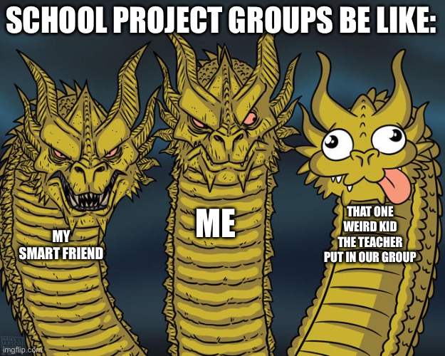 Every time | SCHOOL PROJECT GROUPS BE LIKE:; THAT ONE WEIRD KID THE TEACHER PUT IN OUR GROUP; ME; MY SMART FRIEND | image tagged in three-headed dragon | made w/ Imgflip meme maker