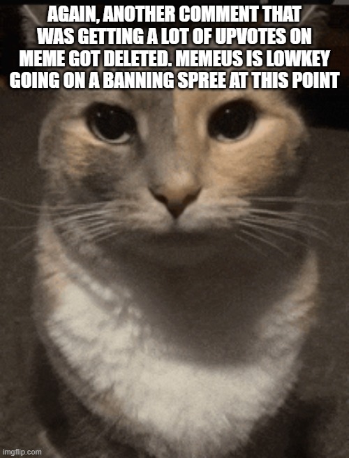 cat dead stare | AGAIN, ANOTHER COMMENT THAT WAS GETTING A LOT OF UPVOTES ON MEME GOT DELETED. MEMEUS IS LOWKEY GOING ON A BANNING SPREE AT THIS POINT | image tagged in cat dead stare | made w/ Imgflip meme maker