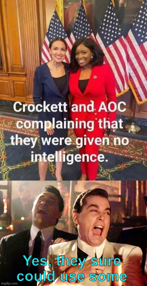 Yes, they sure could use some | Yes, they sure could use some | image tagged in memes,good fellas hilarious,aoc,crockett,need intelligence | made w/ Imgflip meme maker