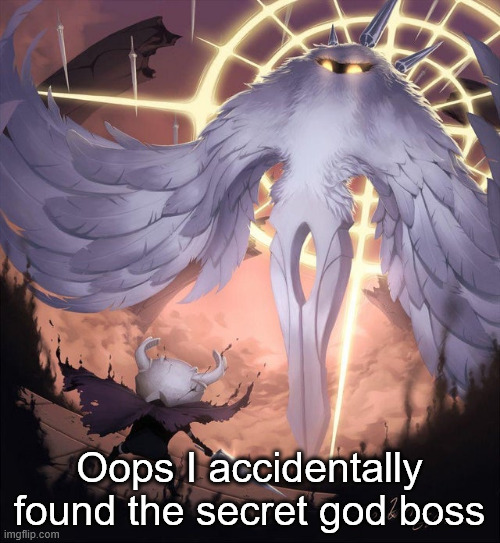 Hollow knight and absolute radiance | Oops I accidentally found the secret god boss | image tagged in hollow knight and absolute radiance | made w/ Imgflip meme maker