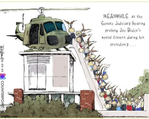 dems are fleeing to avoid testifying | image tagged in political,reposts | made w/ Imgflip meme maker