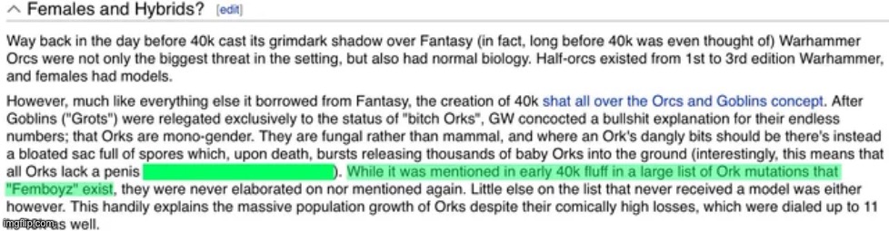 The What now | image tagged in gay orks | made w/ Imgflip meme maker