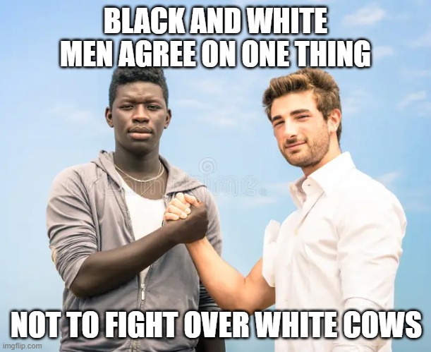 black and white bros | BLACK AND WHITE MEN AGREE ON ONE THING; NOT TO FIGHT OVER WHITE COWS | image tagged in dark humor,satire,funny memes,race,hilarious memes,comedy | made w/ Imgflip meme maker
