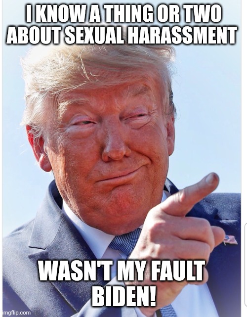 Trump pointing | I KNOW A THING OR TWO ABOUT SEXUAL HARASSMENT WASN'T MY FAULT 
BIDEN! | image tagged in trump pointing | made w/ Imgflip meme maker