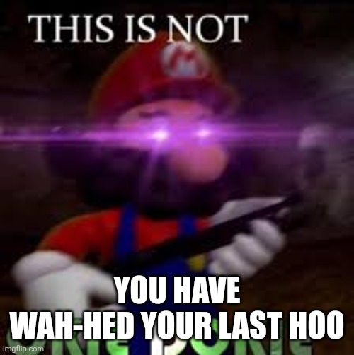 This is not okie dokie | YOU HAVE WAH-HED YOUR LAST HOO | image tagged in this is not okie dokie | made w/ Imgflip meme maker