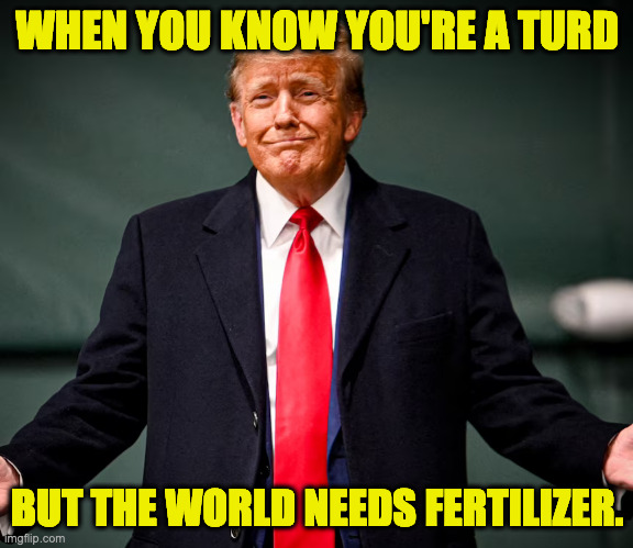 turdy trump | WHEN YOU KNOW YOU'RE A TURD; BUT THE WORLD NEEDS FERTILIZER. | image tagged in turdy trump,memes | made w/ Imgflip meme maker