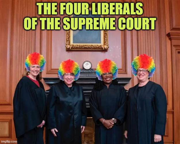 The four liberals of the Supreme Court | THE FOUR LIBERALS OF THE SUPREME COURT | image tagged in supreme court,liberals | made w/ Imgflip meme maker