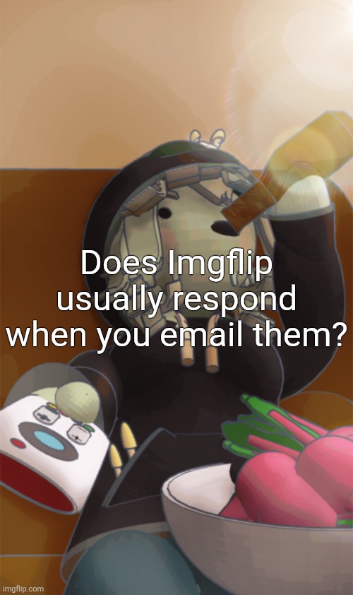 Mora | Does Imgflip usually respond when you email them? | image tagged in mora | made w/ Imgflip meme maker