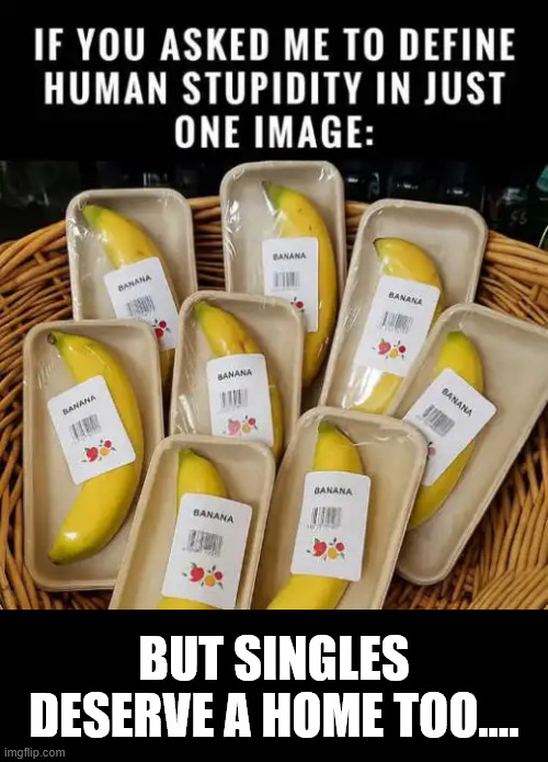 Singles | BUT SINGLES DESERVE A HOME TOO.... | image tagged in memes,bananas,human stupidity | made w/ Imgflip meme maker