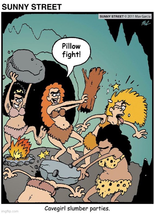 Long before the invention of soft pillows… | image tagged in comics,sunny street,cavewomen,slumber party,prehistoric pillow fight | made w/ Imgflip meme maker